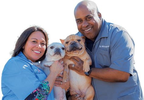 village vets emergency|The Village Vets .